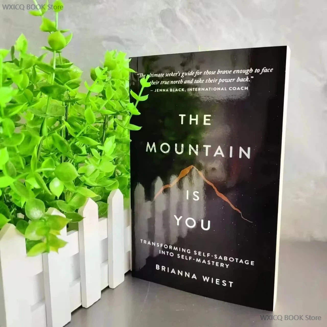 2025 NEW Best-selling books : Money Psychology books, Atomic Habits, Changing Thinking, 48 Laws of Power, etc